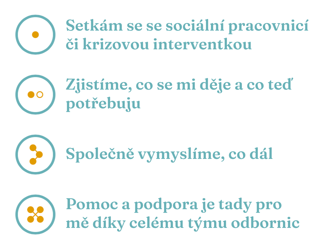 web jak to u nás chodí infografika.png